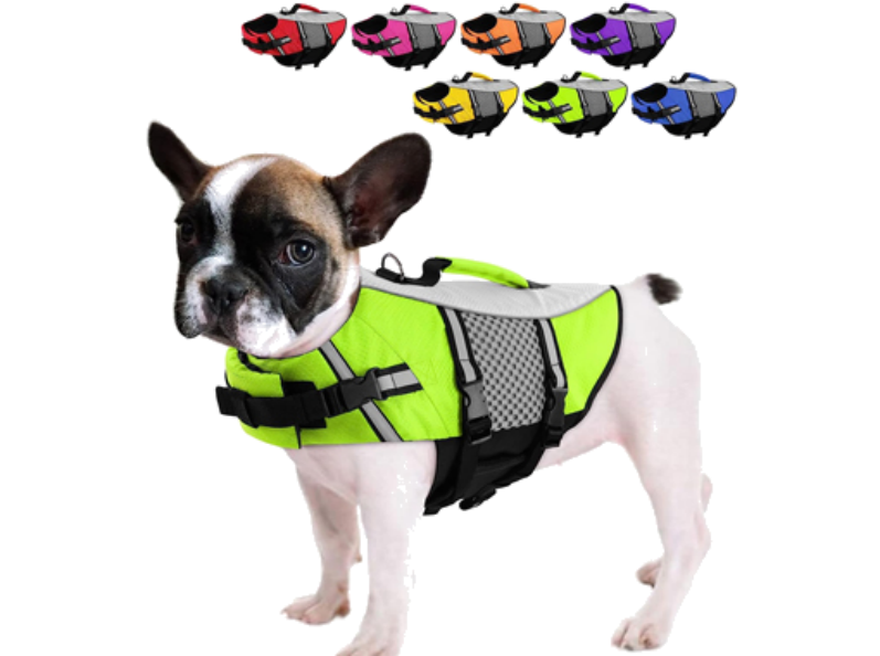 neoprene dog life jacket