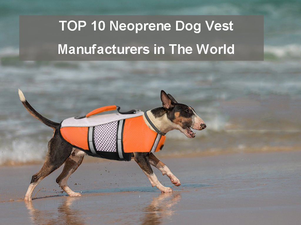 TOP 10 Neoprene Dog Vest Manufacturers in The World Custom Neoprene
