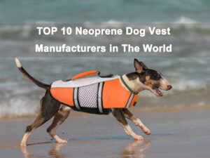 neoprene dog vest