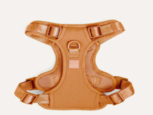 Neoprene Dog Harness